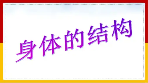 《身体的结构》PPT