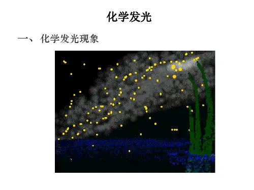 化学发光与电化学发光