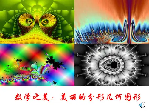 数学之美美丽的分形几何图形课件