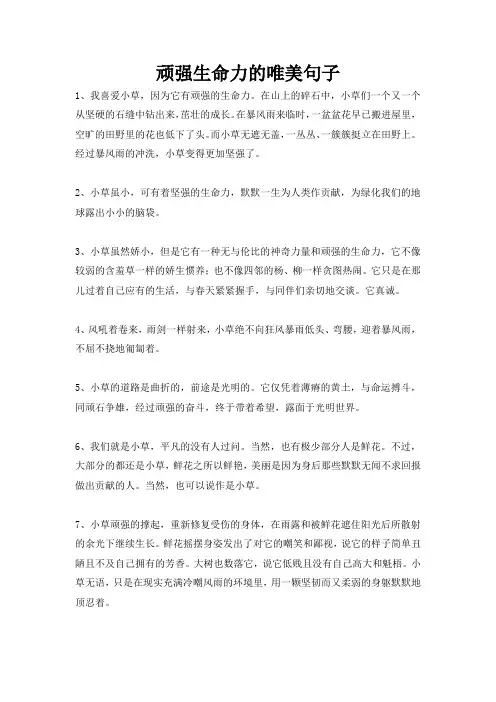 顽强生命力的唯美句子