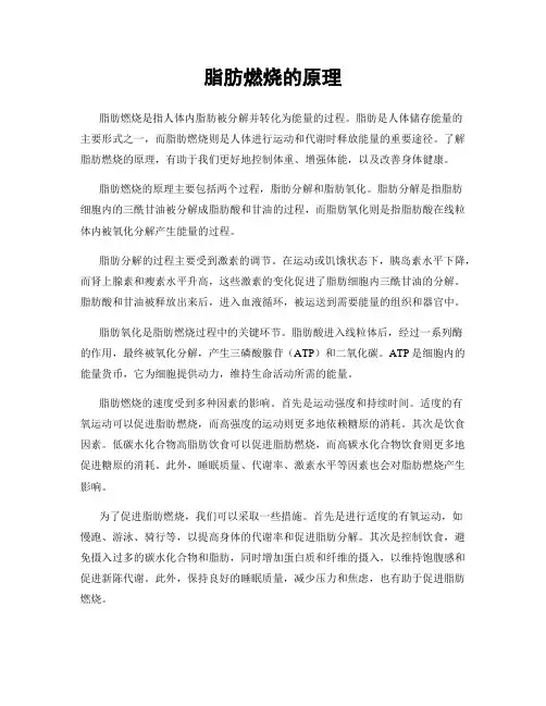 脂肪燃烧的原理