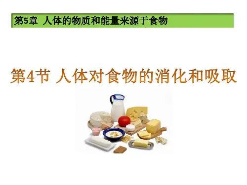 苏科版生物七上5.4《人体对食物的消化吸收》 课件