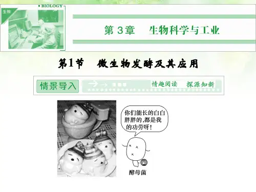 人教版高中生物选修2课件：第三章生物科学与工业(选修二)