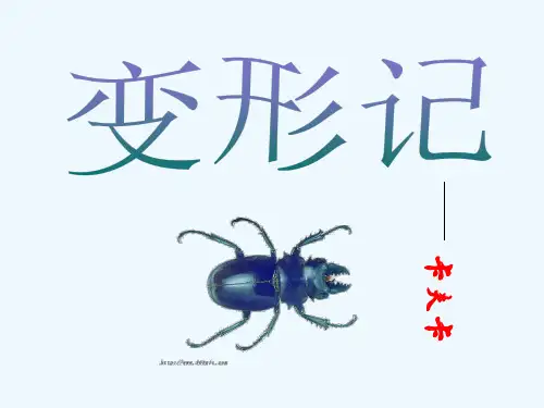 变形记复习课件粤教版必修4课件