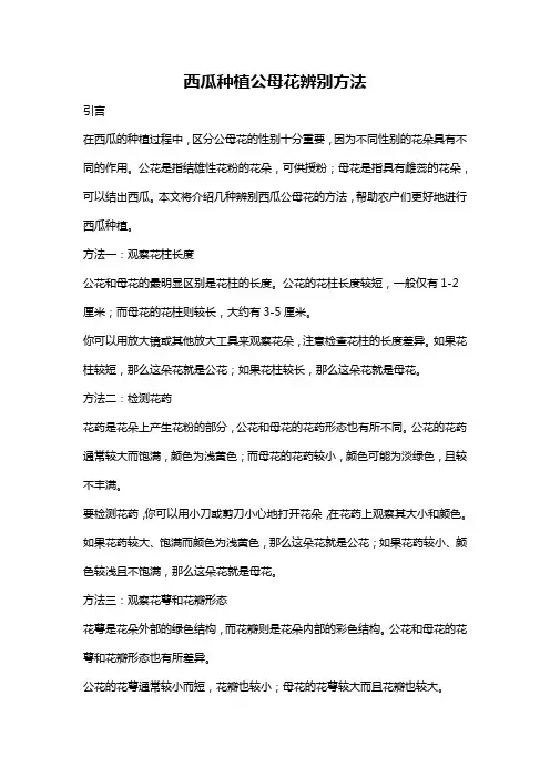 西瓜种植公母花辨别方法
