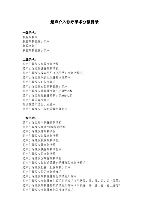 (完整word版)超声介入诊疗手术分级目录(1)