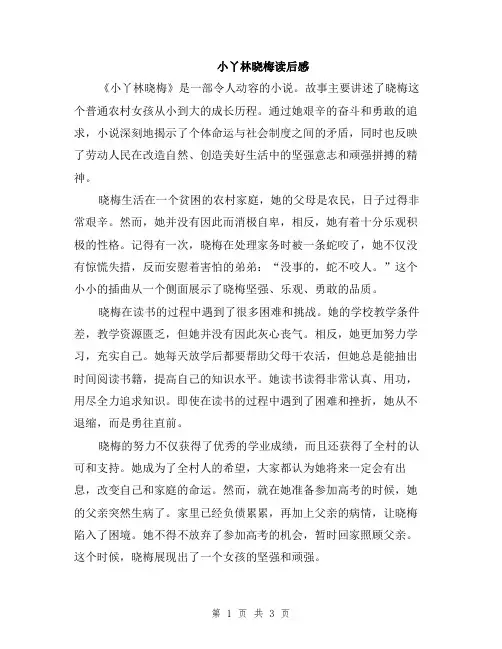 小丫林晓梅读后感