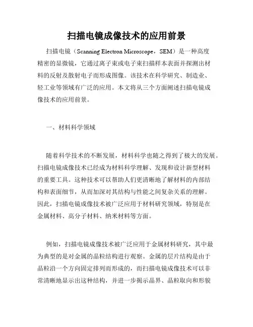 扫描电镜成像技术的应用前景