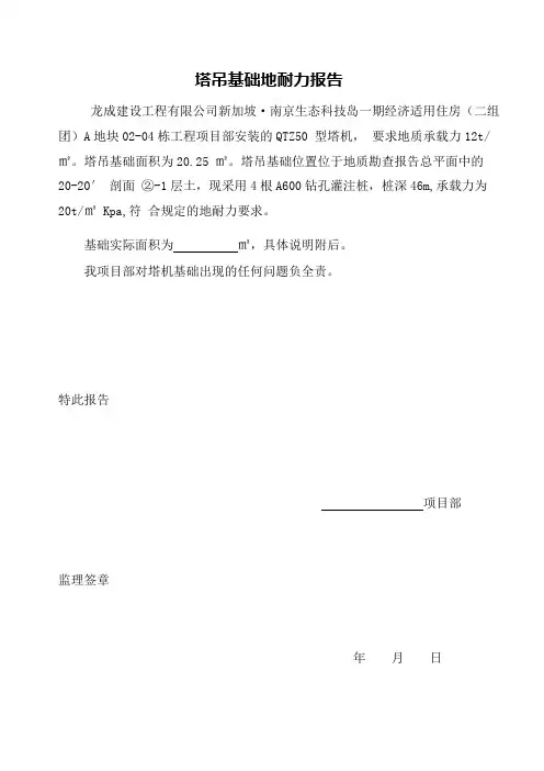 地耐力报告