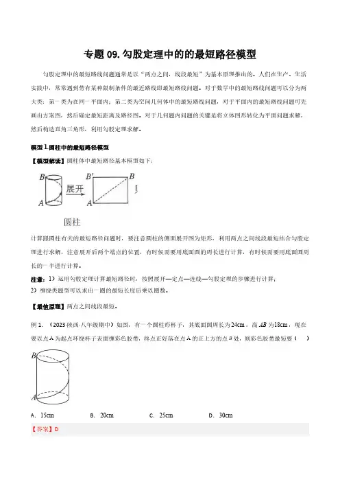 专题09 勾股定理中的最短路径模型(解析版)