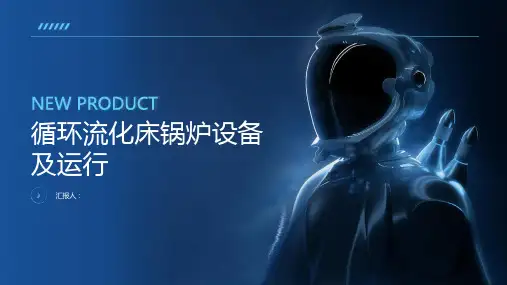 循环流化床锅炉设备及运行