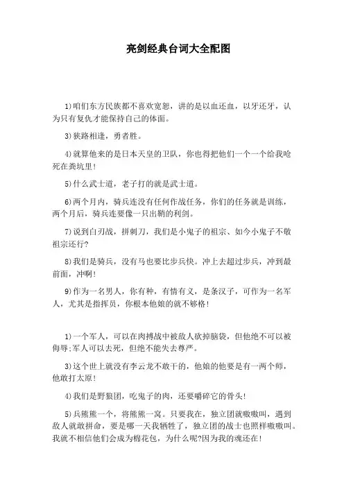 亮剑经典台词大全配图