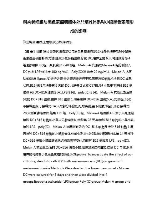 树突状细胞与黑色素瘤细胞体外共培养体系对小鼠黑色素瘤形成的影响