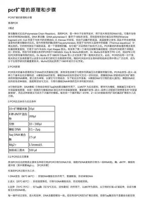 pcr扩增的原理和步骤