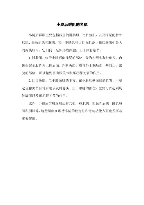 小腿后群肌的名称