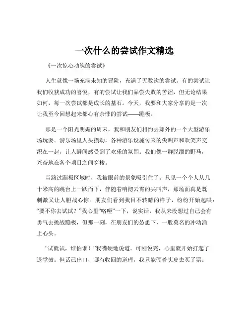 一次什么的尝试作文精选