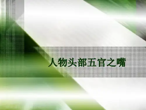 人体头部的五官PPT课件