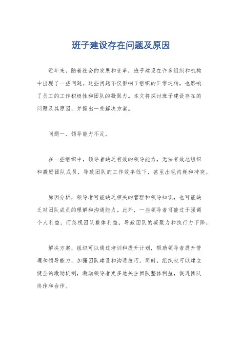 班子建设存在问题及原因