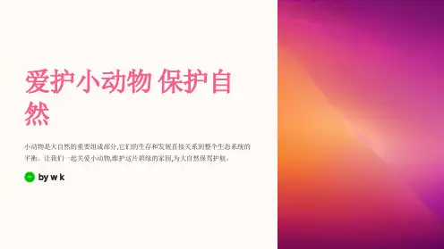 爱护小动物保护自然主题班会PPT课件