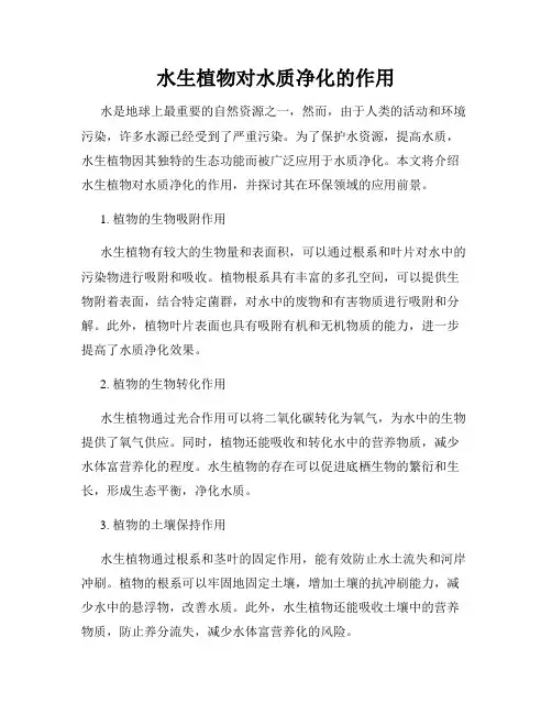 水生植物对水质净化的作用