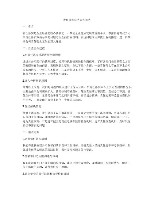 责任落实自查自纠报告