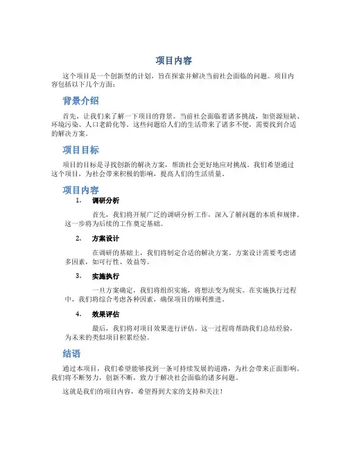 项目内容资料