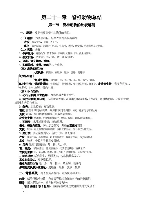 二十一章脊椎动物总结