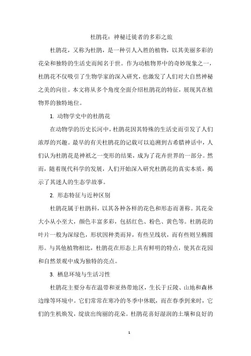 杜鹃花：神秘迁徙者的多彩之旅