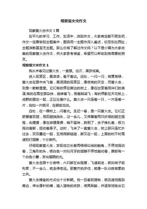 观察萤火虫作文3篇