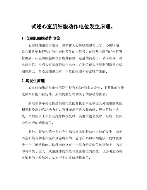 试述心室肌细胞动作电位发生原理。