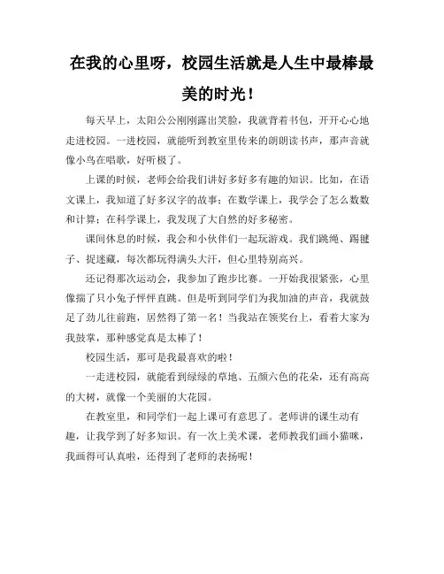 校园生活人生中最美好的时光作文