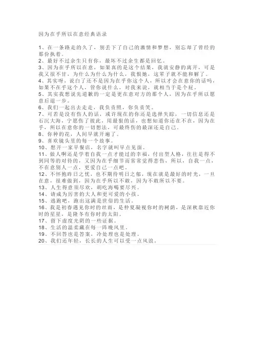 因为在乎所以在意经典语录