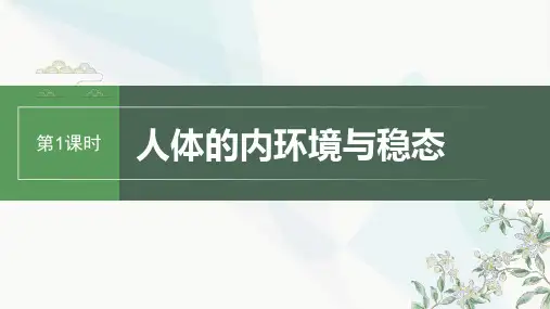 2024届高考生物一轮复习人体的内环境与稳态课件