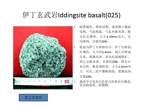 中国地质大学岩石矿物学手标本鉴定