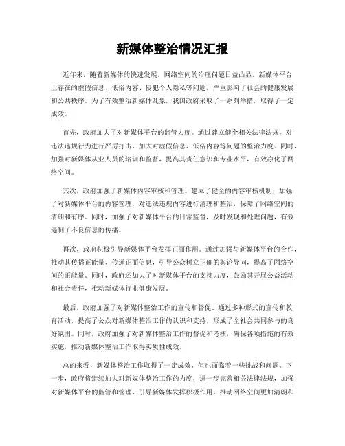 新媒体整治情况汇报