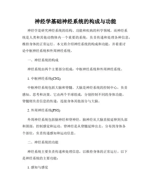 神经学基础神经系统的构成与功能