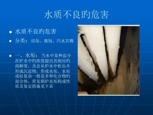 锅炉腐蚀和防护