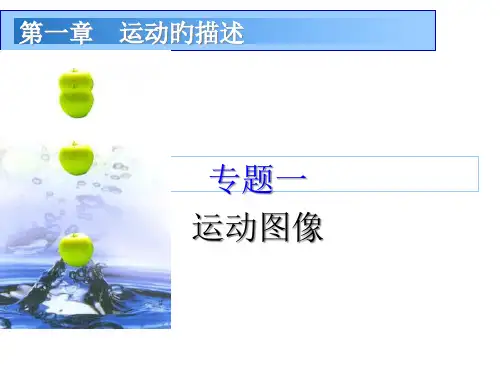 专题运动图像