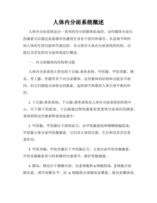 人体内分泌系统概述