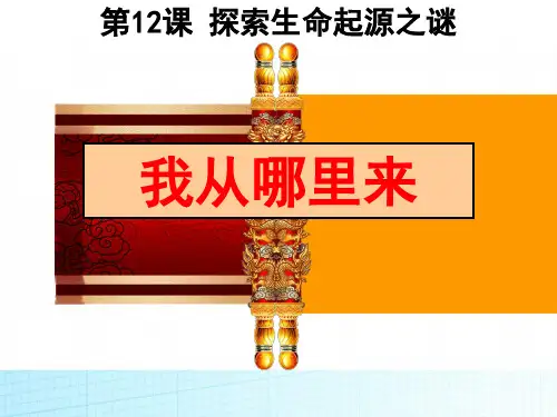 2019高中历史(人教版)必修3第12课探索生命起源之谜课件(24张)