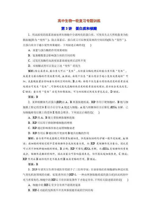 高中生物一轮复习专题训练：第3讲 蛋白质和核酸(word版含解析)
