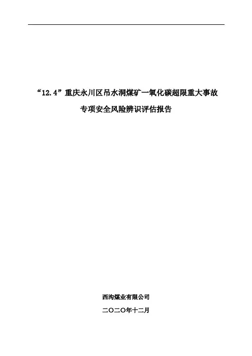 重庆永川区吊水洞煤矿12.4一氧化碳超限重大事故专项安全风险辨识评估报告含工作方案及评审结论1