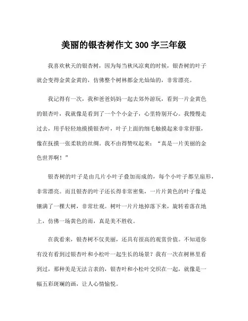 美丽的银杏树作文300字三年级