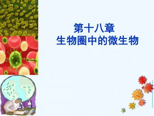 北师大版生物八年级上册18.1《微生物在生物圈中的作用》优质课件