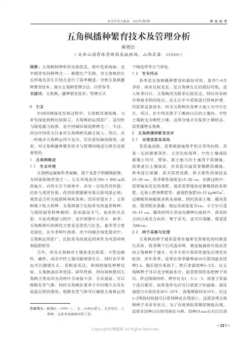 五角枫播种繁育技术及管理分析