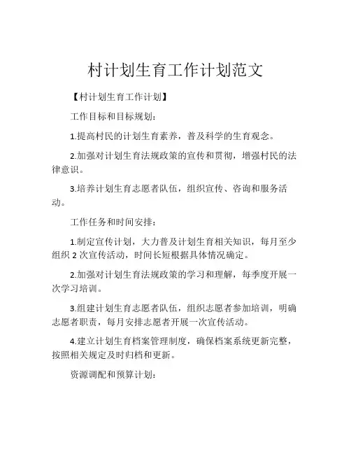 村计划生育工作计划范文
