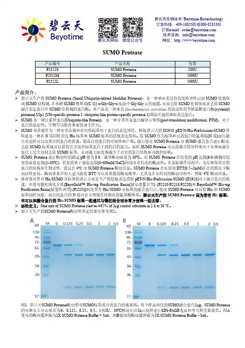 碧云天SUMO Protease产品说明书