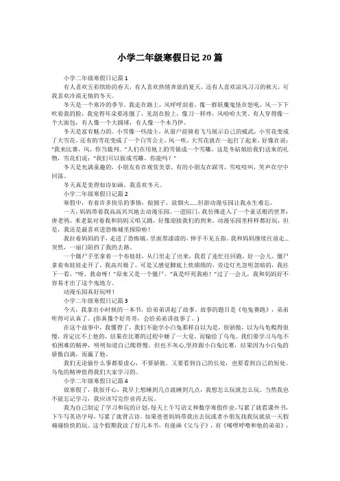 小学二年级寒假日记20篇