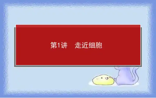 第1讲 走近细胞