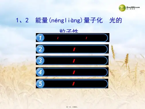 高中物理 17.1.2 能量量子化 光的粒子性课件 新人教版选修35